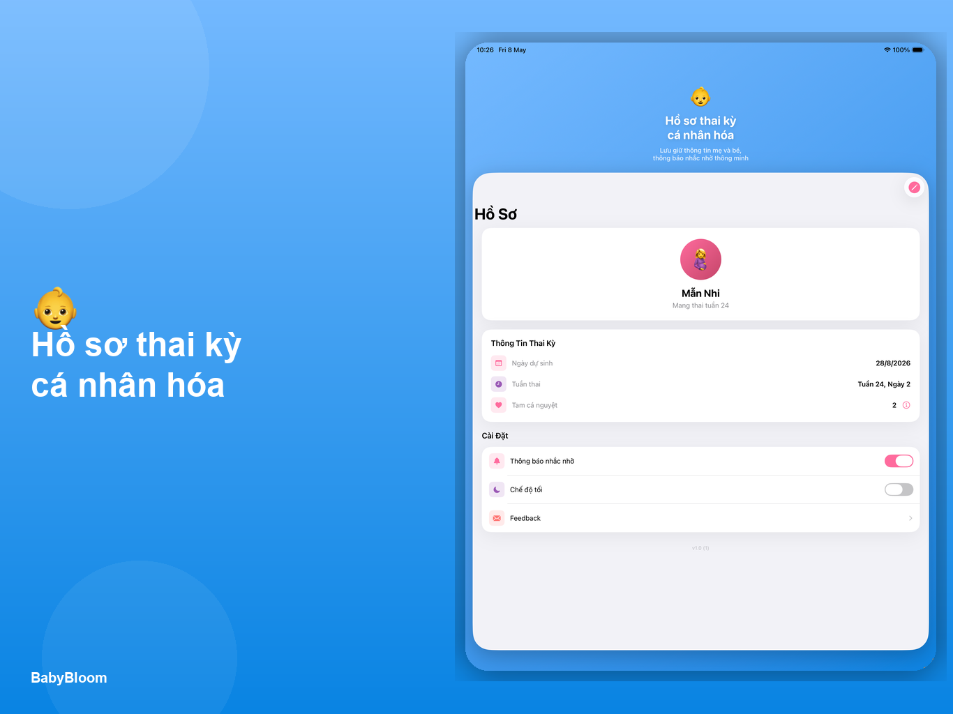 iPad - Hồ sơ